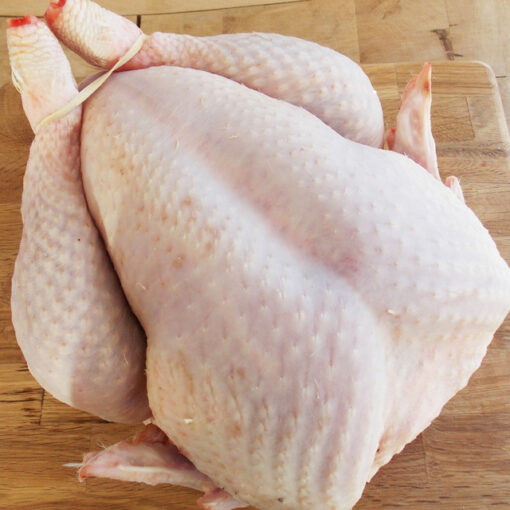 Buy Frozen Chicken From Thailand To USA