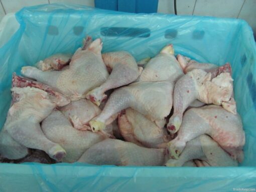 Chicken Leg Quarter From Thailand to USA