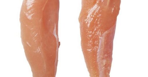 Frozen Halal Frozen Chicken Inner Fillet Al-Husuns