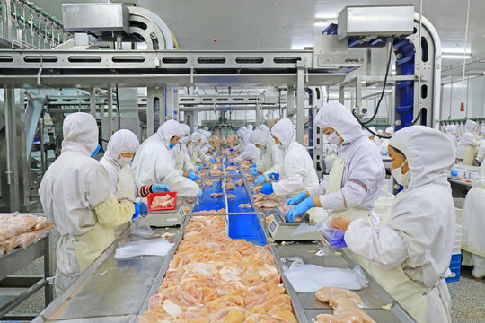 Importing Frozen Chicken into EU/USA From Thailand