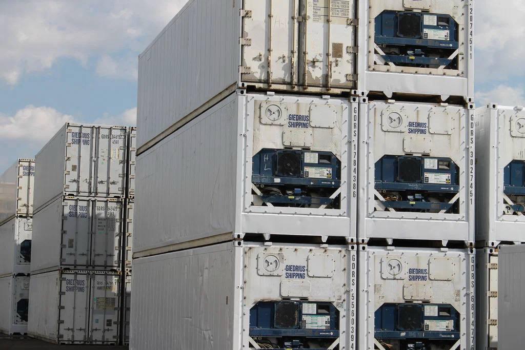 Importing Frozen Chicken to China