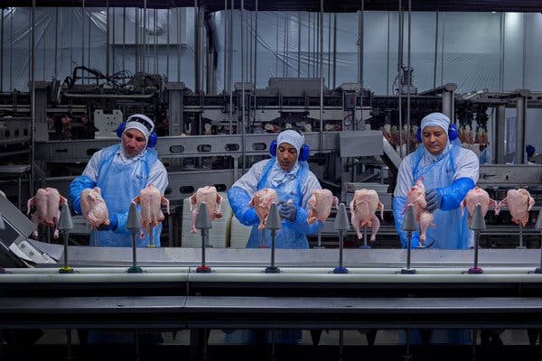 Tariffs and Duties on Frozen Chicken Exports