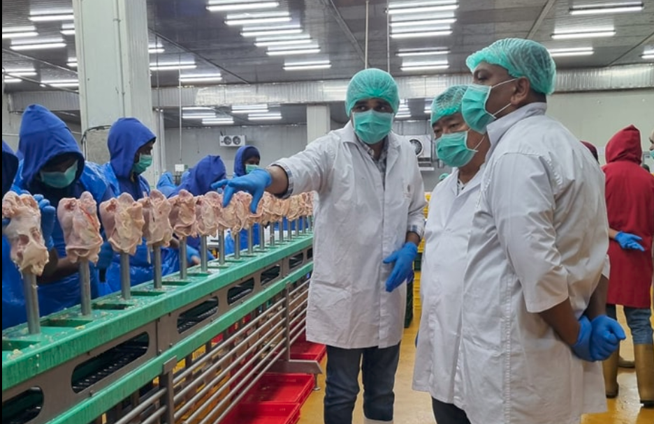 Thai Frozen Chicken Processing Plants
