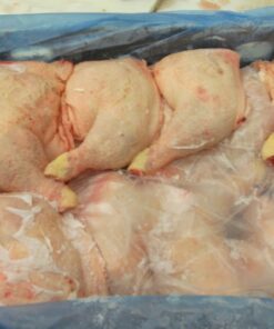 wholesale Halal Halal Frozen Chicken leg Quarter in Amman