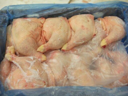 wholesale Halal Halal Frozen Chicken leg Quarter in Amman