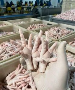 Halal Frozen Chicken Feet & Paws – Buy Online in Uruguay Today