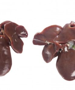 Buy Thai Frozen Chicken Liver Ipoh Malaysia