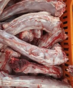 Frozen Chicken Neck Valparaíso Chile