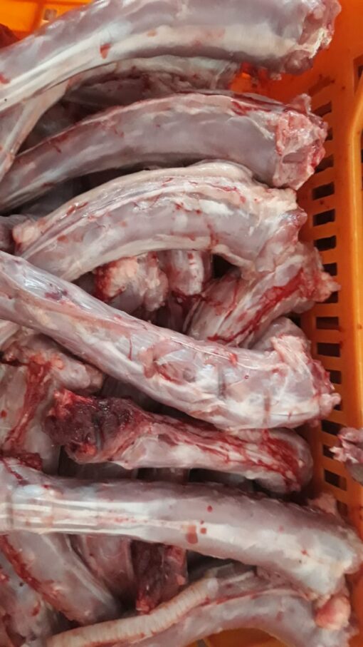 Frozen Chicken Neck Valparaíso Chile