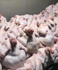 Frozen Whole Chicken Supplier From Thailand To Chile