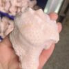 Whole Chicken Leg Boneless Skin-on