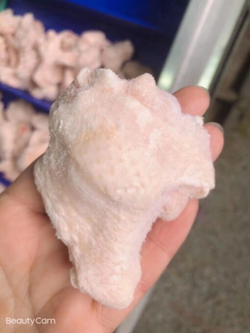 Whole Chicken Leg Boneless Skin-on