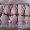 Buy Halal Frozen whole chicken online Cochabamba, Bolivia