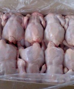 Buy Halal Frozen whole chicken online Cochabamba, Bolivia