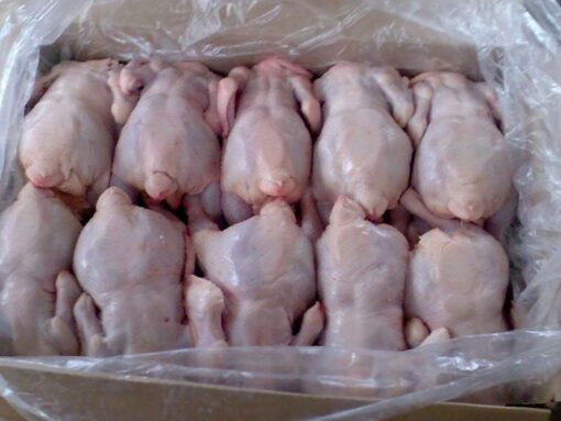 Buy Halal Frozen whole chicken online Cochabamba, Bolivia