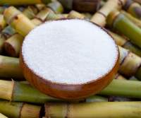 Certified ICUMSA White Sugar Supplier in Prague – Bulk Distribution