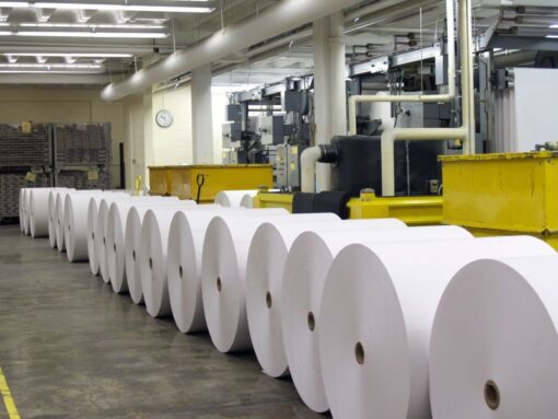 Buy Double A A4 Copy Paper 6