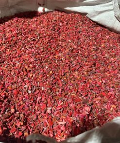 High-Purity Plastic Regrind Shipments from Thailand to Lucknow