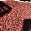 Regrind Plastic9