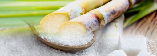 sugar 1