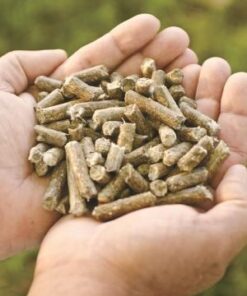 Go Green and Stay Warm — Order Premium Wood Pellet for Sale in Finland