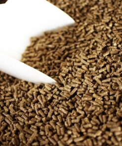 Renewable Energy Made Easy — Wood Pellet for Sale Now Available in Norway