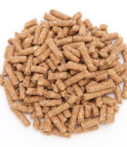 Efficient, Clean, and Reliable — Quality Wood Pellet for Sale in Denmark